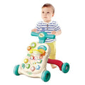 Developmental Baby Walker with Activity Panel